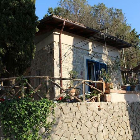 Casa Azzurra Villa Terracina Bagian luar foto